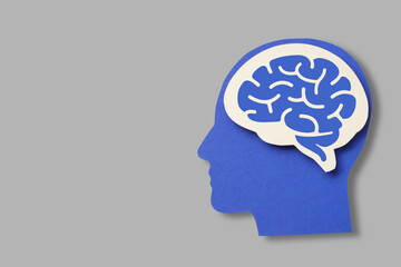 Visualizing the human brain and its significance
