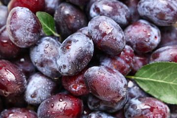 Fototapeta premium Texture of fresh ripe plums with leaves as background