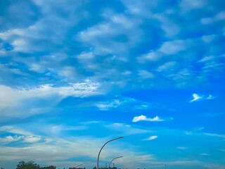 green grass and blue sky
