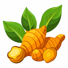 colorful illustration of a turmeric, isolated on white background