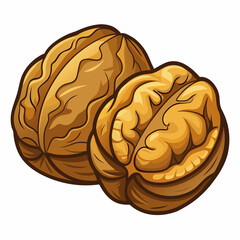 colorful illustration of a walnut, isolated on white background