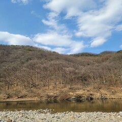 landscape of the river