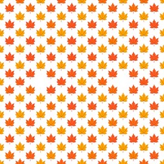 Autumnal maple leaves pattern on white background.