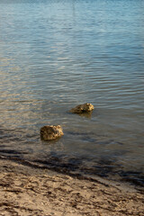 stones in water