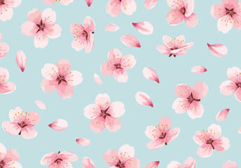 Seamless Pattern of Pink Cherry Blossoms on Light Blue Background.