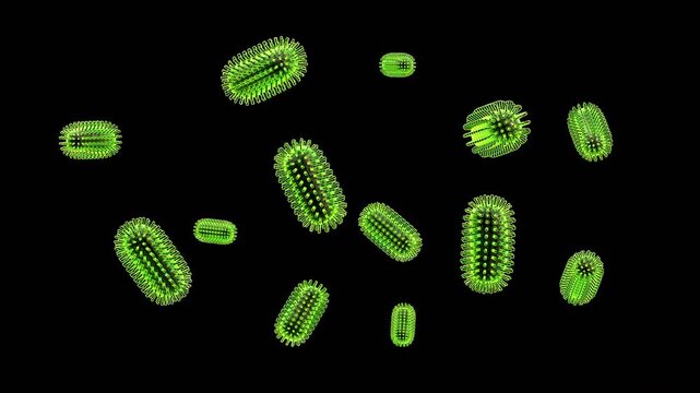 3D Animation of Rabies Lyssavirus | Alpha Channel