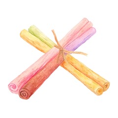Colorful Watercolor Cinnamon Sticks Tied with Twine on White Background spices