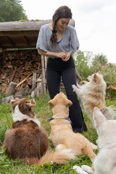 feeding the dogs