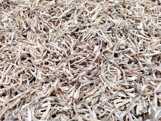 Full frame shoot of pile of dried unpeeled anchovies or small fish in a market showing the texture