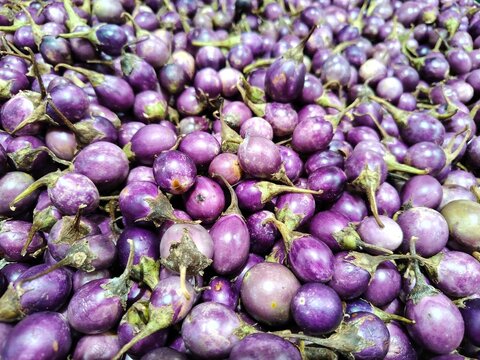 view of full frame shoot of fresh round purple eggplant (terung bulat ungu) or brinjal or Aubergines on market showing the vegetable's texture. natural ingredient cooking healthy food.
