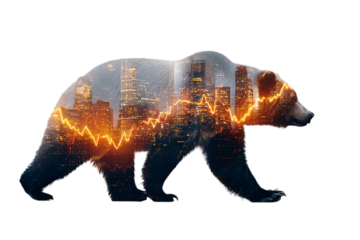 Bear Market in the City