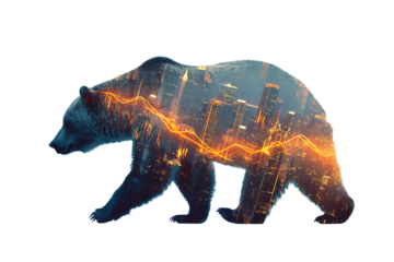 Bear Market Silhouette