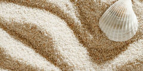 Seashell on Smooth Sandy background, One shell on fine sand with gentle wave pattern, minimal and...