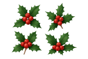 Holly berries and leaves creating festive christmas decoration on transparent background