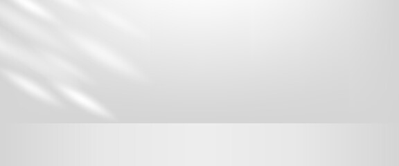 Obraz premium Minimalist white and gray vector background with soft light streaks and shadows, perfect for product display, advertising, or modern presentations.