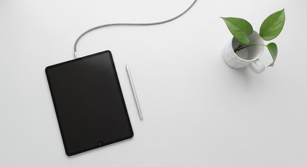 Overhead shot of a tablet, stylus, charger cable and green plant on a white desk surface. Concept for digital art creation, remote working and office supplies presentation