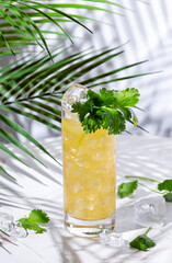 Tequila limeade alcoholic cocktail drink with tequila, agave syrup, cilantro, jalapeno, lime juice and soda