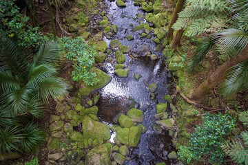 River inside Memorial Kauri Park in Whangarei, New Zealand.