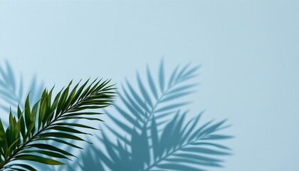 Serene Palm Frond Shadow Icy Blue Gradient