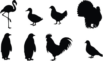 Silhouettes of various birds including flamingo, duck, chicken, turkey, penguin, rooster, pigeon, isolated black vector icons, wildlife, farm birds collection