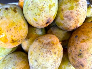 High resolution features a group of ripe mangoes with textured yellow and green skin