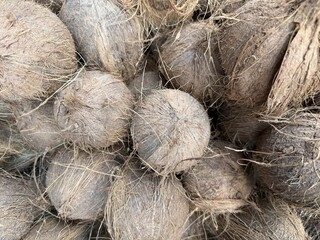 Piled up whole coconuts display rough textures and hairy husks prominently in the high resolution photo