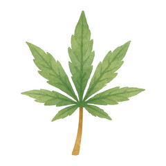 PNG Watercolor cannabis leaf illustration.