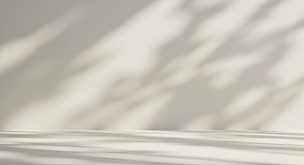 Obraz premium Minimalist studio backdrop with sunlight casting abstract leaf shadows on the wall