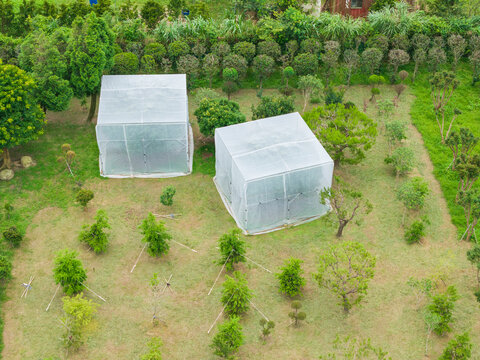 Fruit Trees Enclosed for Pest Control in Garden