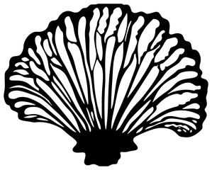 scallop seafood seilhouette drawing © safri