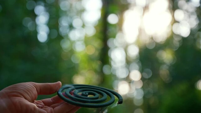 Green mosquito coil Insect repellent outdoors during summer. Trying to kill mosquitoes and flies. Prevention disinfection against mosquito bite during sunny day. 