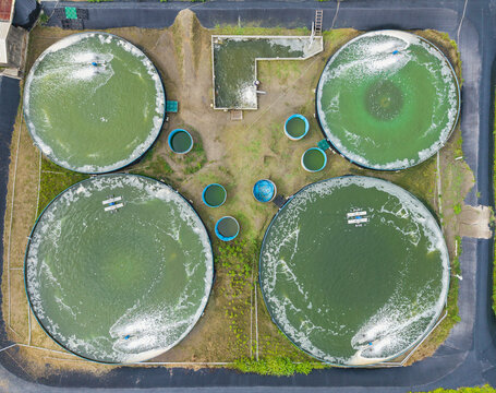 Circular Fish Ponds Aerial View with Aerators in Aquaculture Far