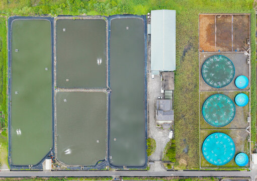 Aerial Fish Farm Aquaculture Ponds Facility Drone View