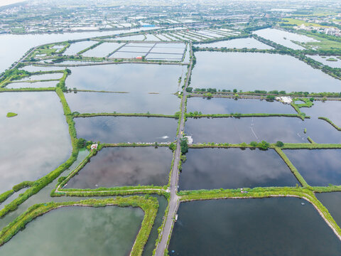 Vast Aquaculture Ponds Aerial View
