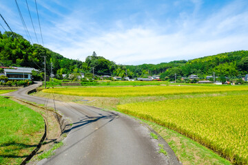 田舎の風景