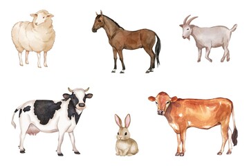 Various of livestock set on white background. Watercolor sheep, goat, horse, cow, and rabbit of  on white board. Hand drawn of animals