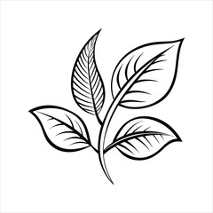 vector black silhouette of leaf