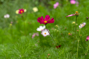 La belleza en lo que nos rodea.
