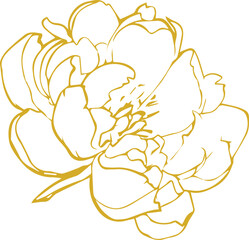 vector drawing of a yellow rose