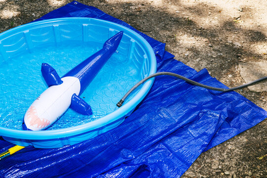 Shark floatie in kiddie pool being filled