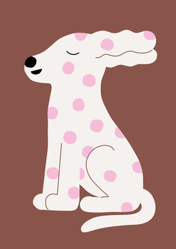 Little white dog