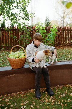 Boy Enjoying Time With Dogs in a Vibrant Garden