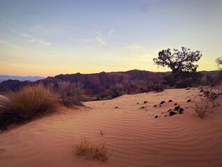 sunset in the desert
