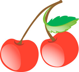 vector illustration of cherry