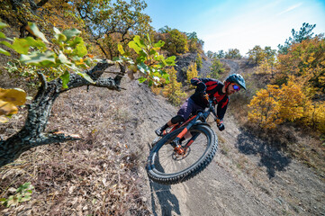 Mountain biker riding wallride in forest