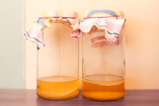 kombucha scoby in jar