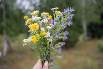 hand holding a vibrant bouquet of colorful wildflowers against a blurred natural background, showcasing delicate petals in hues of yellow, white, and blue in a peaceful outdoor setting, bokeh