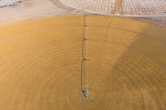 Irrigation sprinkler on a circular crop