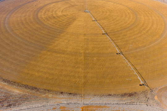 Irrigation sprinkler on a circular crop
