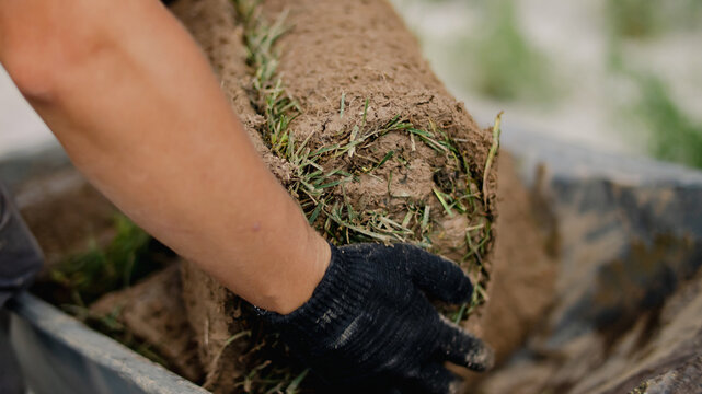 Hand lifting turf roll